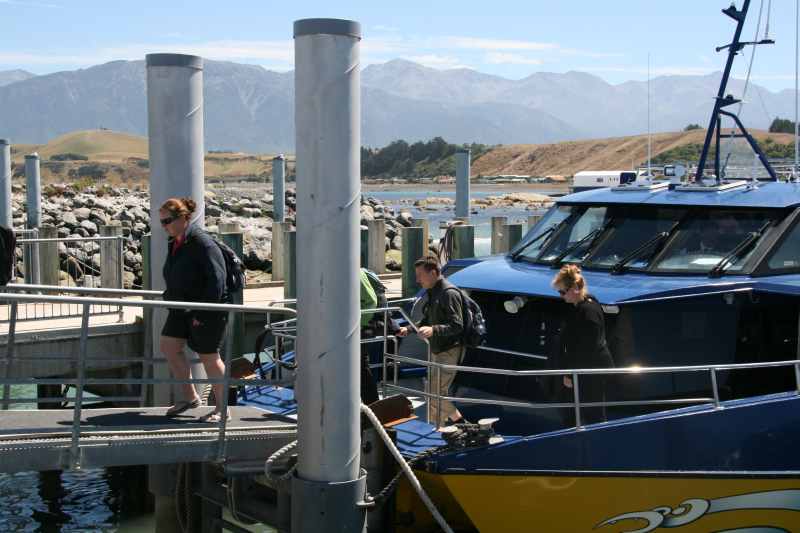 Nieuw-Zeeland 2011 - 1256